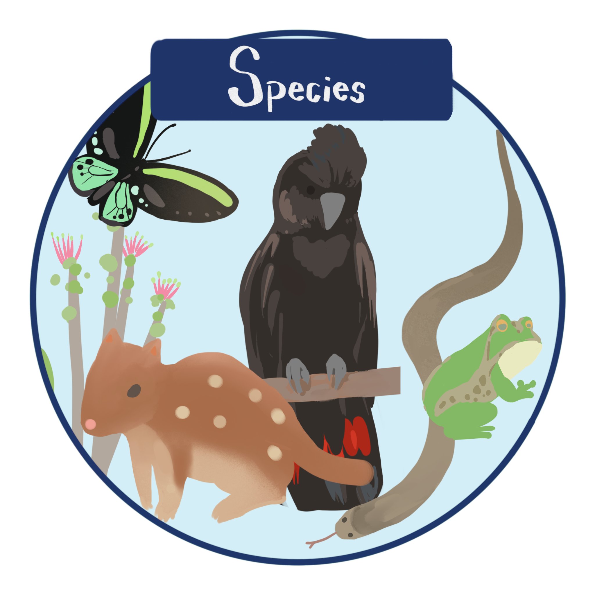  Adaptation Catalogue For Conservation